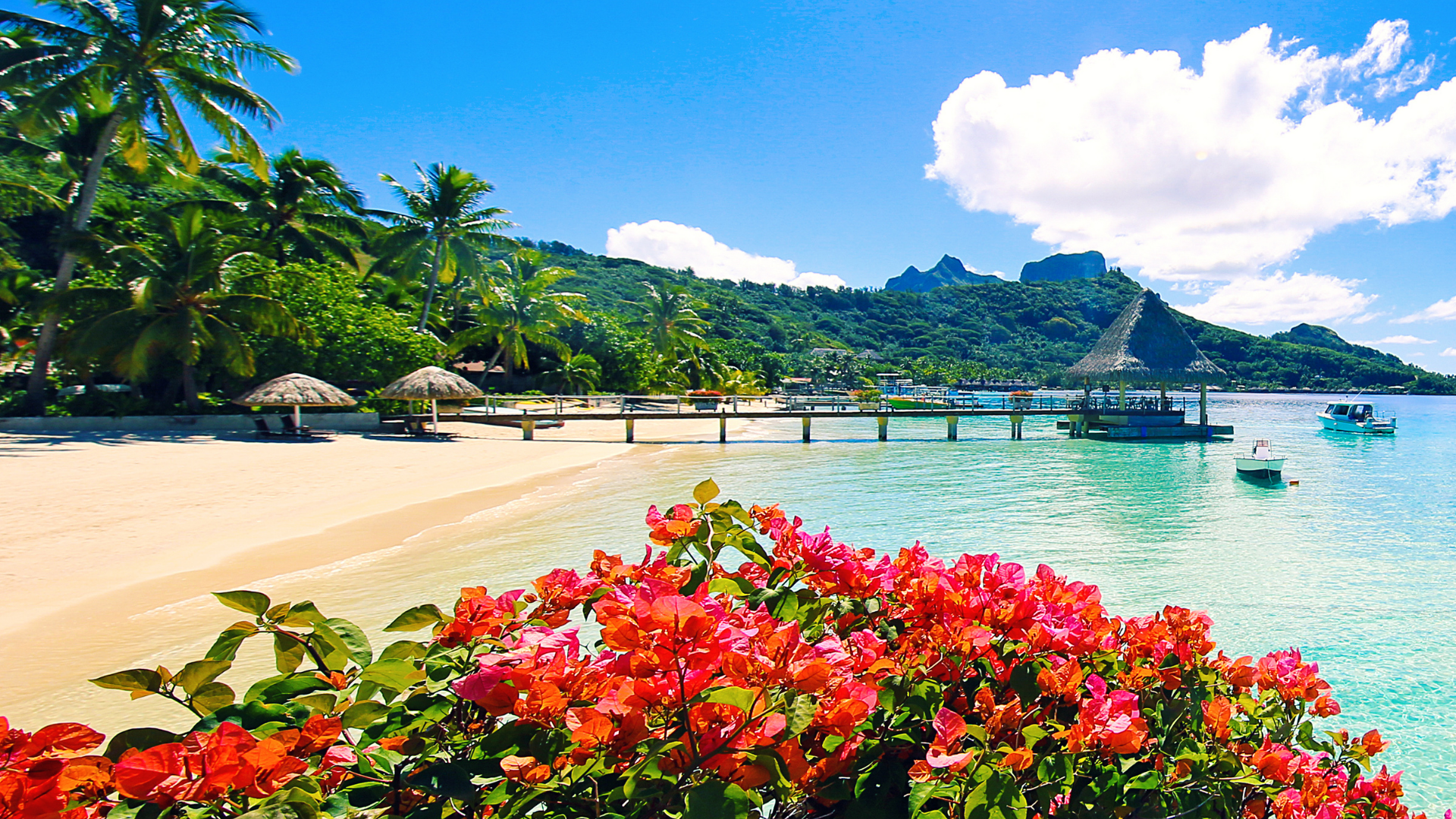 Tour personalizado Bora Bora