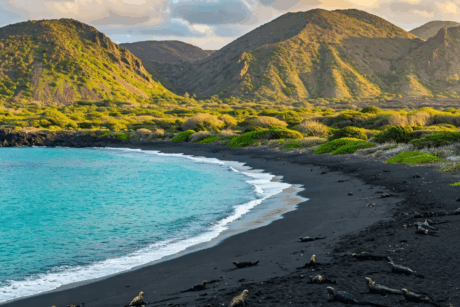 Tour personalizado Islas Galápagos