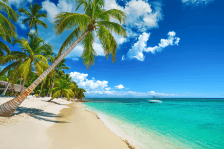 Tour personalizado Punta Cana