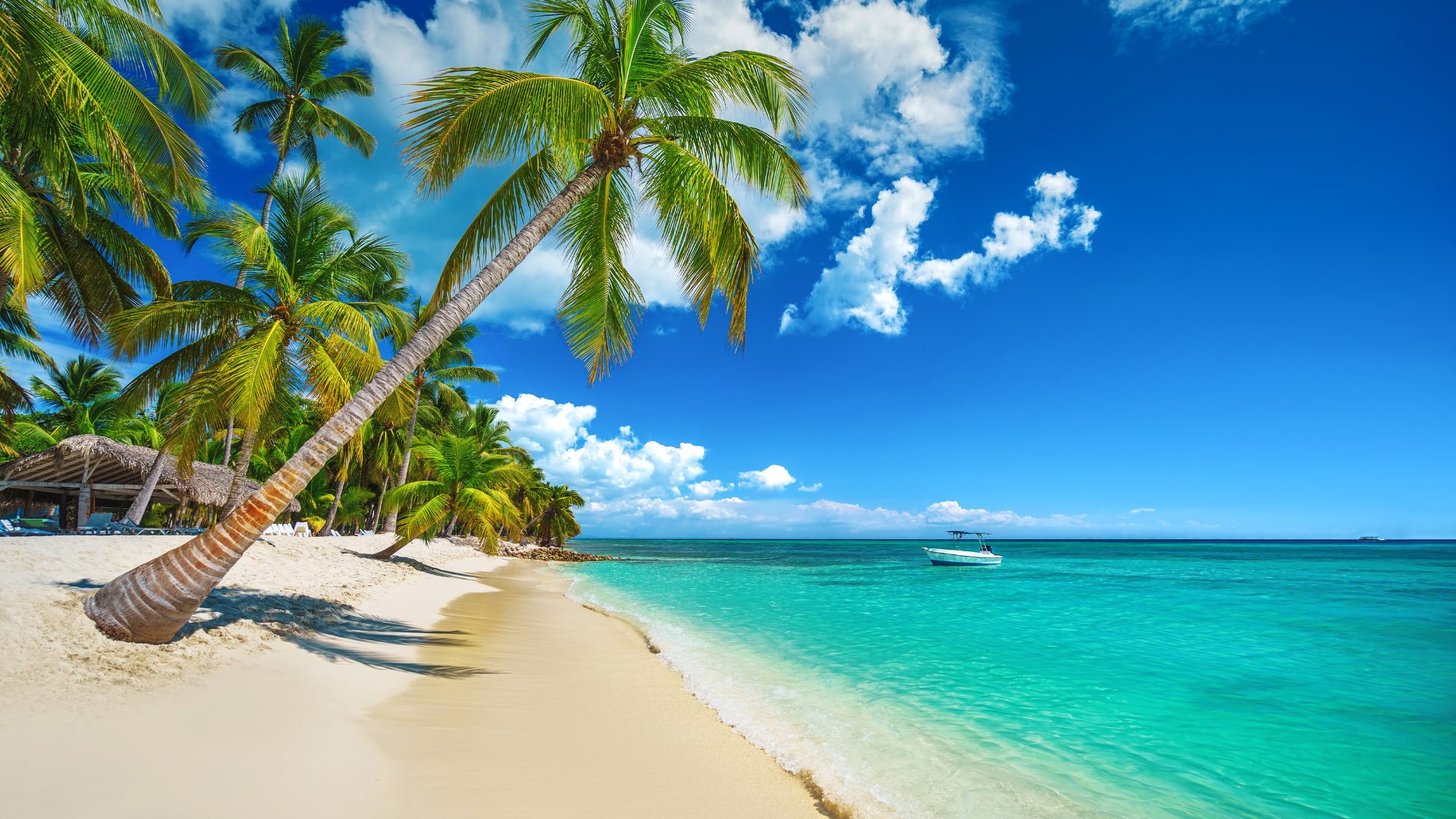 Tour personalizado Punta Cana