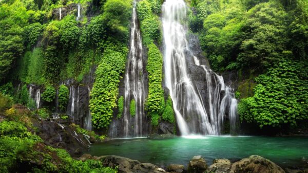Bali: El córazon de Indonesia