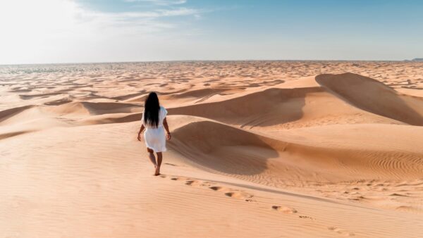 Dubai: La ciudad sin limites
