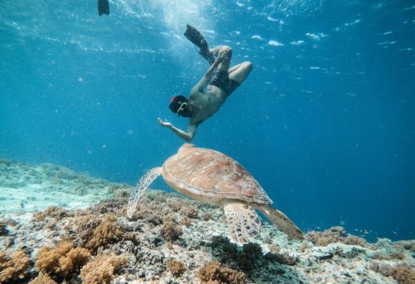Islas Gili: Naturaleza y Magia Bajo el Mar.