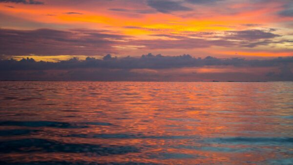 Islas Gili: Naturaleza y Magia Bajo el Mar.