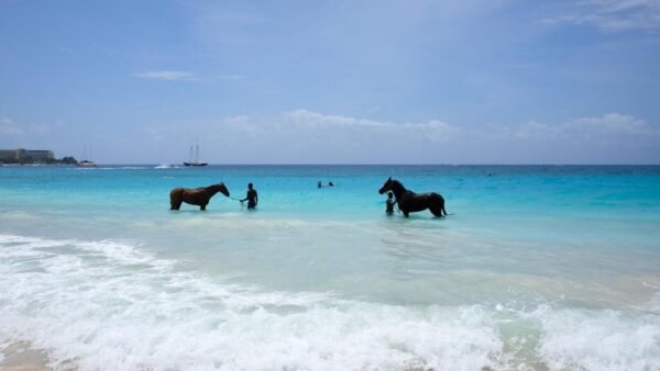 Islas Gili: Naturaleza y Magia Bajo el Mar.