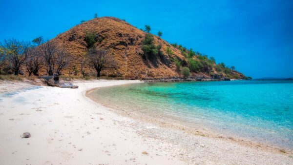 Komodo: Un paraíso intacto entre islas remotas.