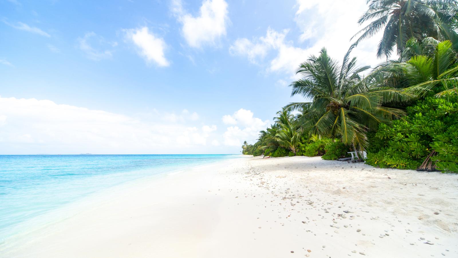 Islas Maldivas: Islas Locales