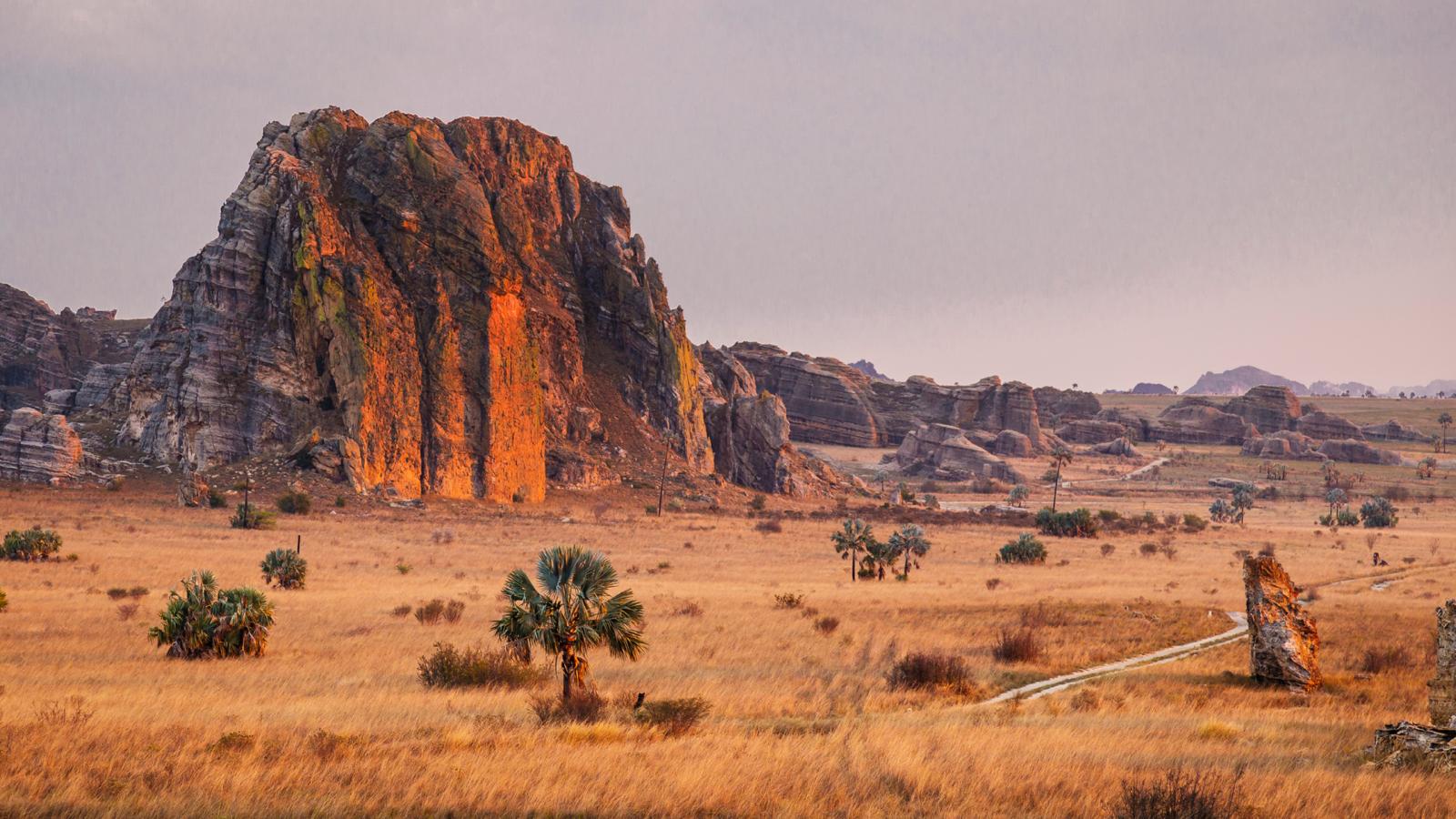 Madagascar: La Isla Prohibida de los Lémures y Selvas Prehistóricas