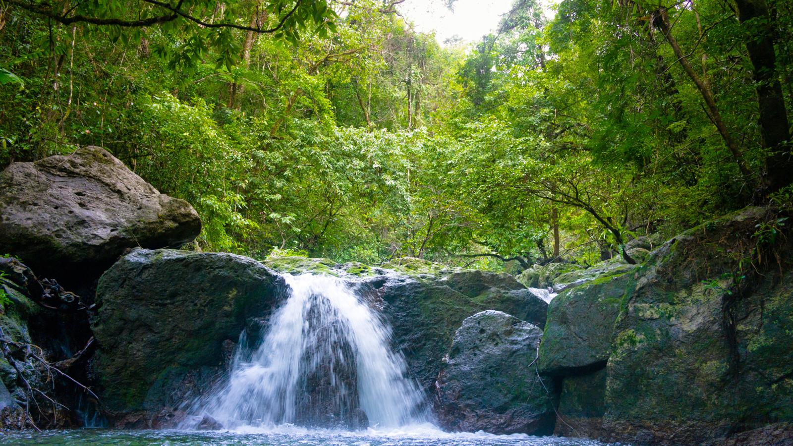 Madagascar: La Isla Prohibida de los Lémures y Selvas Prehistóricas