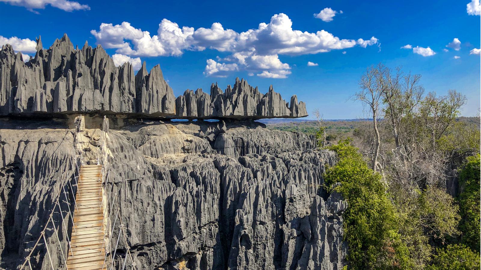 Madagascar: La Isla Prohibida de los Lémures y Selvas Prehistóricas