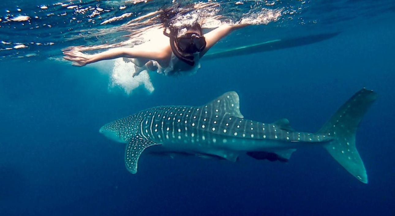 Borneo: Islas perdidas y playas intactas