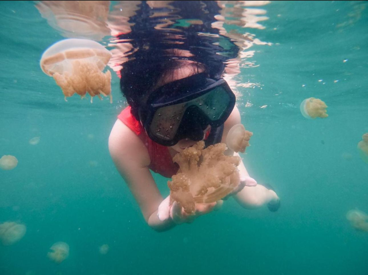 Borneo: Islas perdidas y playas intactas