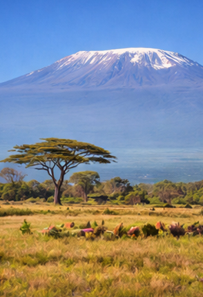 Tanzania