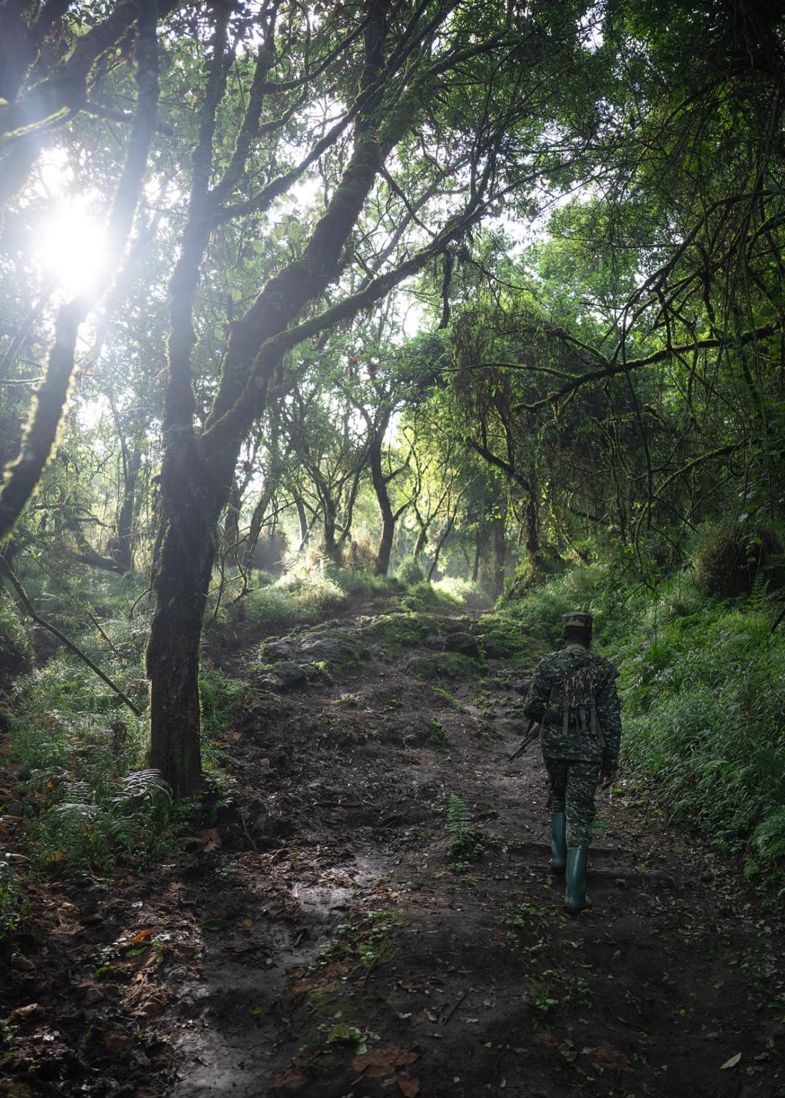 Uganda, la aventura más salvaje de África