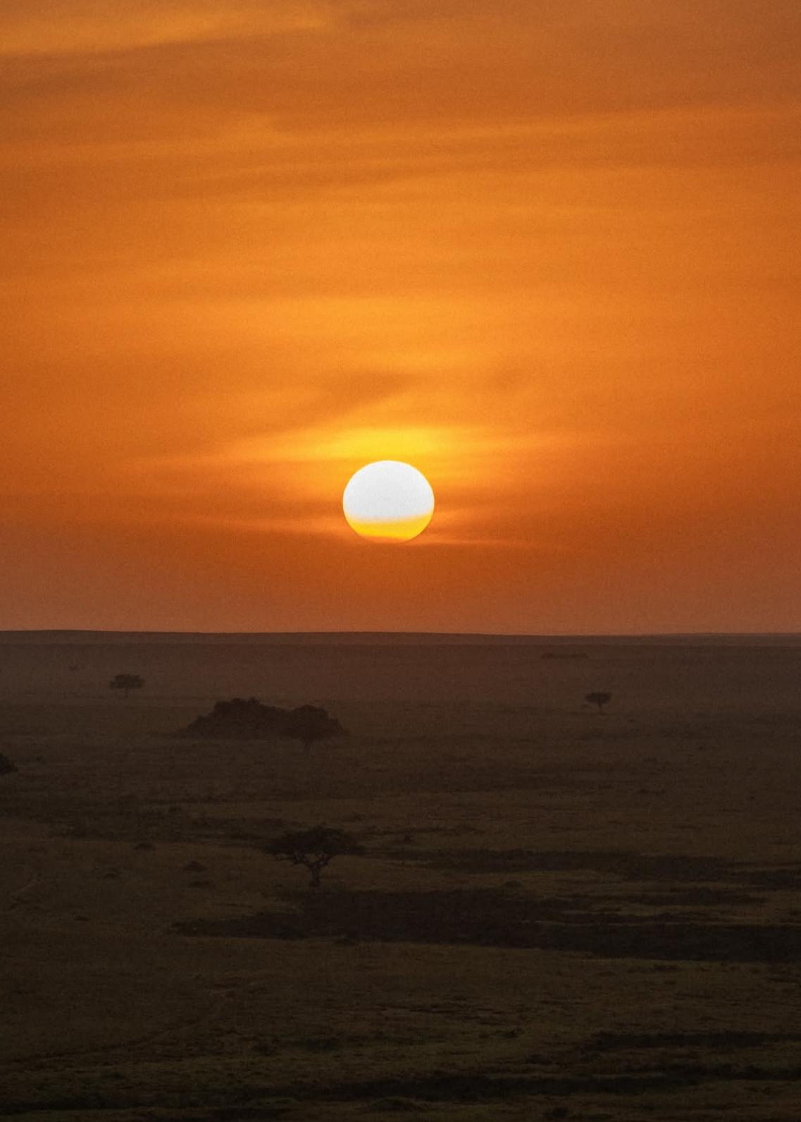 Tanzania y Zanzibar, Safari y playas salvajes