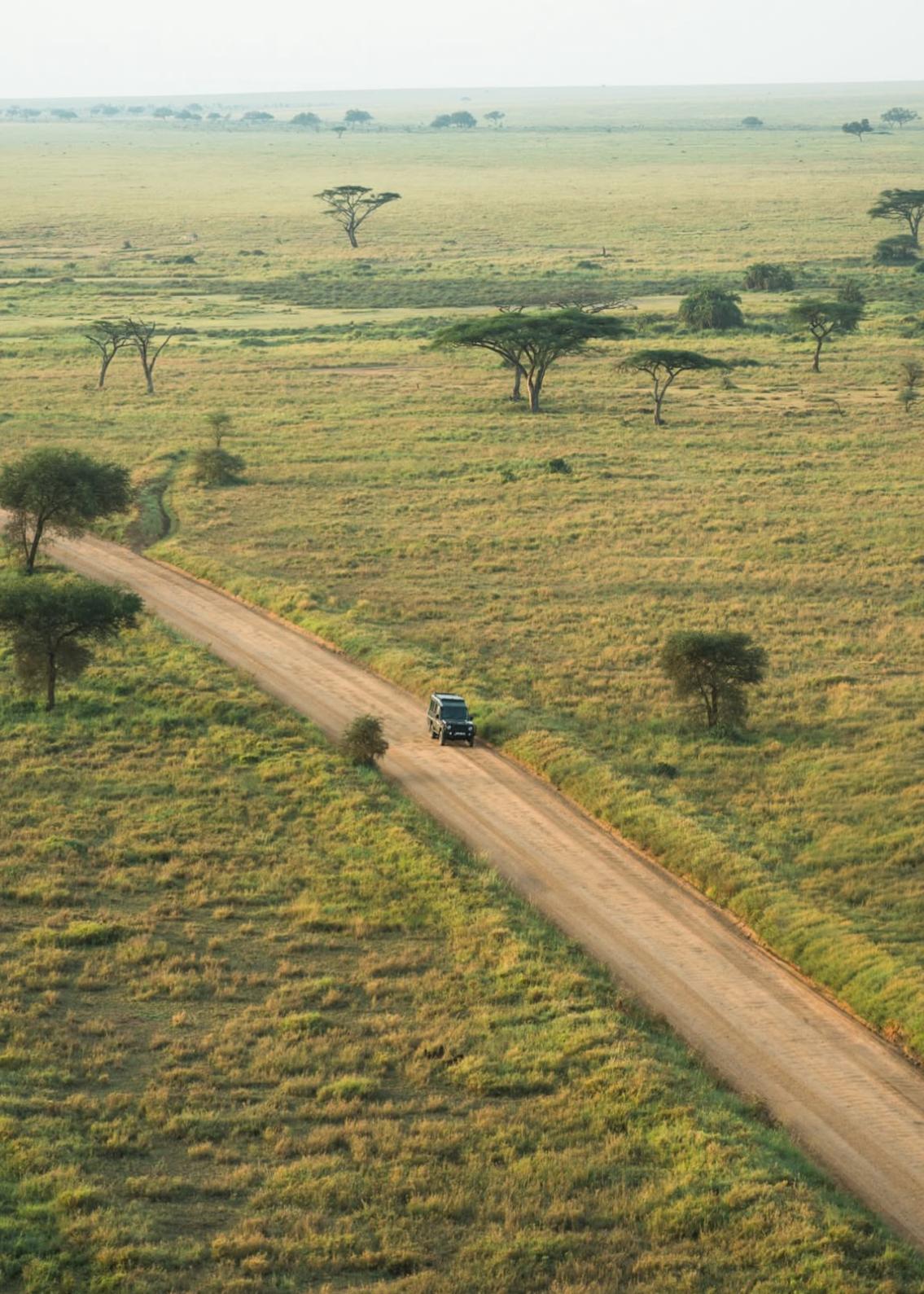Tanzania y Zanzibar, Safari y playas salvajes